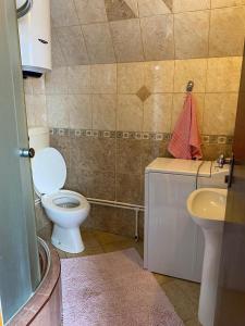 扎布利亚克Holiday Home Vojinovic的浴室配有白色卫生间和盥洗盆。
