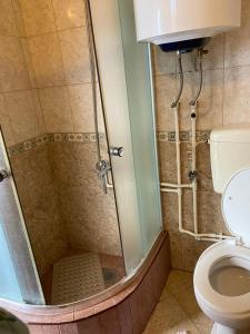 扎布利亚克Holiday Home Vojinovic的带淋浴和卫生间的浴室