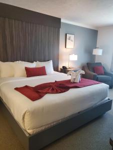 红杉汽车旅馆客房内的一张或多张床位