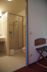 金茨堡宫兹伯格欧陆酒​​店的带淋浴、盥洗盆和卫生间的浴室
