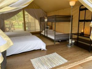Kampong Sum SumCanopy Villa Tampik Valley的一间帐篷内带两张双层床的卧室