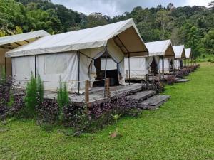 Kampong Sum SumCanopy Villa Tampik Valley的相册照片