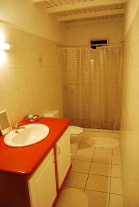 大博格Maison d'une chambre avec jardin clos et wifi a Grand Bourg的一间带水槽和卫生间的浴室