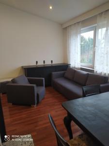 波兹南Apartament Brzechwy的客厅配有沙发和桌子