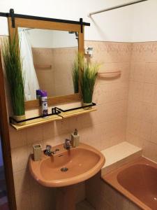 多奈斯Art`Rio - Casa no Rio em Dornes的浴室设有水槽和两盆植物