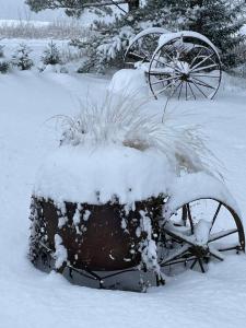 拉克韦雷Käänu puhkemaja的雪覆盖的拖拉机,雪中种植植物