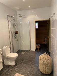 玛丽港Stava Mosters的浴室配有卫生间、淋浴和盥洗盆。