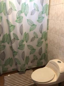卡沃罗霍Herbert's Place的浴室设有卫生间和带叶子的浴帘。