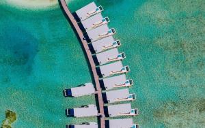 古雷德胡Holiday Inn Resort Kandooma Maldives - Kids Stay & Eat Free and DIVE FREE for Certified Divers for a minimum 3 nights stay的海滩上一组椅子的顶部景色