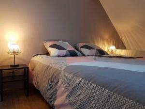 多勒Gite du Cours St Mauris Authentique et moderne的一间卧室配有一张大床和两盏灯