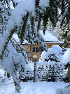 夏蒙尼-勃朗峰Chalet Cristal Trail的雪地小木屋