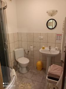科贝拉古拉Agroturystyka u Pawła i Asi的一间带卫生间和水槽的浴室