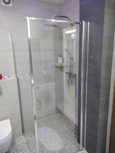 克雷尼察apartament rodzinny的带淋浴和卫生间的浴室