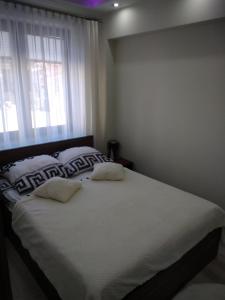 克雷尼察apartament rodzinny的一间卧室配有带两个枕头的床和窗户