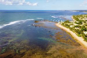 普拉亚多Piscinas Naturais de Praia do Forte的享有海滩和海洋的空中景致