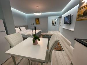 Comfort Apartment In City Center的电视和/或娱乐中心