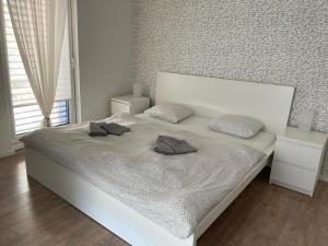 米哈洛夫采Apartmán v centre Michaloviec的卧室配有白色的床和两个枕头