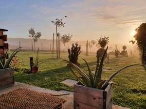 Glamping NA BREJGI外面的花园