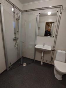 HammarstrandVilla Stolle的带淋浴、卫生间和盥洗盆的浴室
