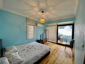 İznik伊兹尼克阿斯卡尼亚酒店的一间拥有蓝色墙壁的卧室、一张床和窗户