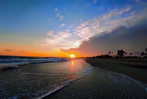 坦加拉Sleeping Elephant Beach Resort的日落在海滩上与大海