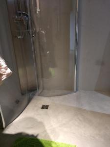 奥德纳尔德DHofstede vakantiewoning的浴室里设有玻璃门淋浴