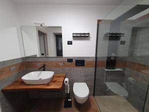 费尼斯Casa Vacanza Lo Nânò的一间带水槽、卫生间和淋浴的浴室
