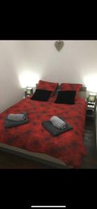 鲁法克Chez Ben et Maé的一间卧室配有红色的床和枕头