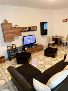 蒂米什瓦拉Mosaico Alfetta Hostel的带沙发和平面电视的客厅