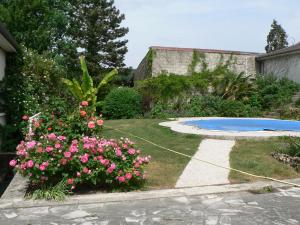 la Maison d'Arbouet的一座种有粉红色花卉的花园和一个游泳池
