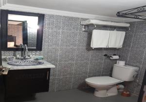 舍夫沙万HOTEL PEDRO的一间带卫生间、水槽和镜子的浴室