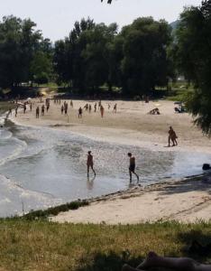 AggsbachHAUS-DONAU in der Wachau的一群人在海滩上玩水