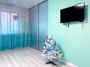 第聂伯罗Апартаменти завжди зі світлом的带平面电视的客房内的圣诞树