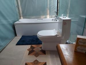 阿利鲍格Blue Coast beach resort的一间带卫生间和浴缸的浴室