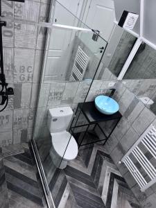 博尔沙Doinita House的一间带卫生间和蓝色水槽的浴室