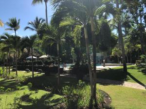 苏莎亚Comfortable Apartment in Caribbean Paradise的棕榈树公园和游泳池