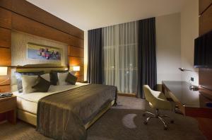 埃尔比勒埃尔比勒市中心德德曼酒店的配有一张床和一张书桌的酒店客房