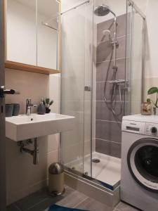 赖兴巴伊姆福格特兰Ferienwohnung "Greizer Straße 26"的浴室内配有淋浴、水槽和洗衣机