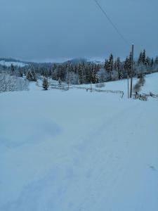 Gheţari冰川旅馆的覆盖着雪地的围栏和树木