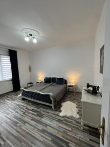 尼什Center Retro Apartment的一间卧室配有一张大床和地毯。