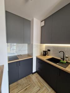 克鲁斯兹考采Apartament Lake View z sauną i widokiem na jezioro的厨房配有黑色橱柜和水槽