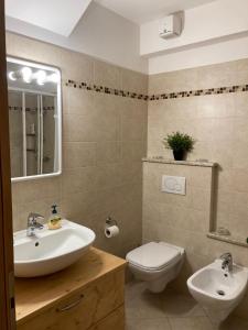 San PietroCasa Lina S. Pietro的一间带水槽、卫生间和镜子的浴室