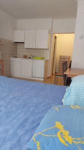 洛桑Gare-20-1的客房设有厨房和带蓝毯的床。