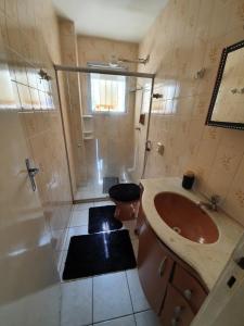 维多利亚Apto com dois quartos no bairro de Jardim Camburi的一间带水槽、淋浴和卫生间的浴室