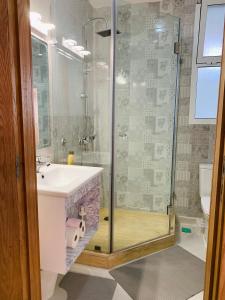 盖尼特拉Centre kenitra appartement的一间带水槽和玻璃淋浴的浴室