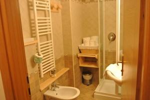 格雷索拉特里尼泰Hotel de Gletscher的一间带水槽和淋浴的小浴室
