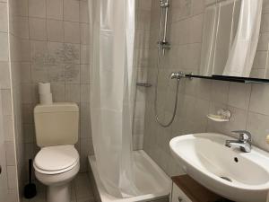 洛桑Gare-30A-3的浴室配有卫生间、盥洗盆和淋浴。