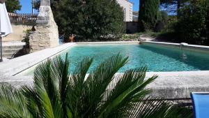 屈屈龙Chambres d'hôtes Le Vignoble的游泳池前有棕榈树