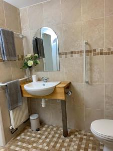 IbsleyNew Forest Chalet的一间带水槽、卫生间和镜子的浴室