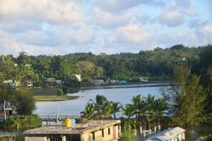 布莱尔港Hotel Lake View的棕榈树水景